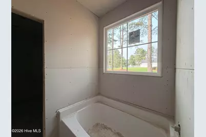 1730 Walnut Run Drive, Deep Run, NC 28525 - Photo 13