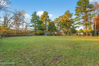 4509 Stevens Chapel Road, Smithfield, NC 27577 - Photo 39