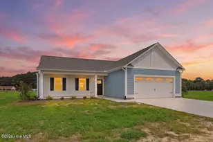 93 Huckleberry Bush Ln, Princeton, NC 27569 - Photo 1