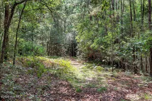 200 Shorepoint Dr, Wilmington, NC 28411 - Photo 53