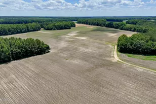 1428 Deberrys Mill Rd, Conway, NC 27820 - Photo 59