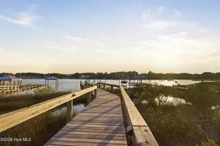 100 Paradise Ct, Sneads Ferry, NC 28460 - Photo 105