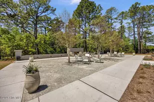 416 Conescu Loop, Wilmington, NC 28412 - Photo 61