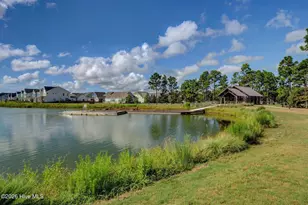 416 Conescu Loop, Wilmington, NC 28412 - Photo 63