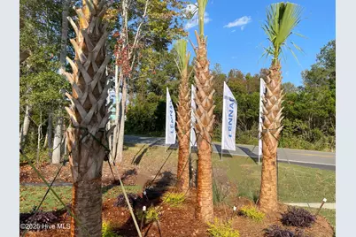 3305 Wood Stork Drive SW #Savannah Lot 58, Ocean Isle Beach, NC 28469 - Photo 13