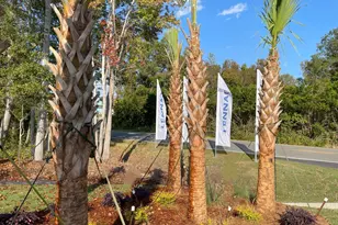 3305 Wood Stork Dr SW, Ocean Isle Beach, NC 28469 - Photo 13