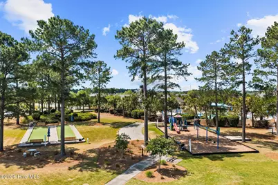 1117 Water Lily Way, Leland, NC 28451 - Photo 31