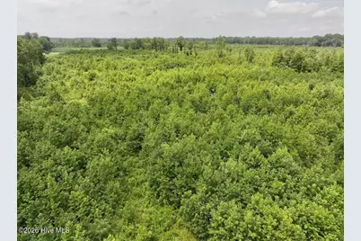 15 Rainbow Road, Scotland Neck, NC 27874 - Photo 19