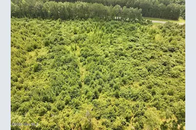 15 Rainbow Road, Scotland Neck, NC 27874 - Photo 13