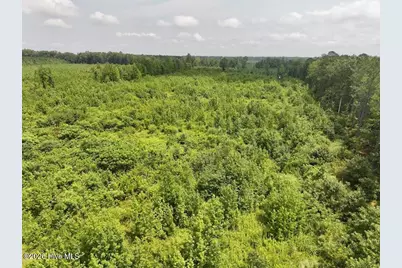 15 Rainbow Road, Scotland Neck, NC 27874 - Photo 17