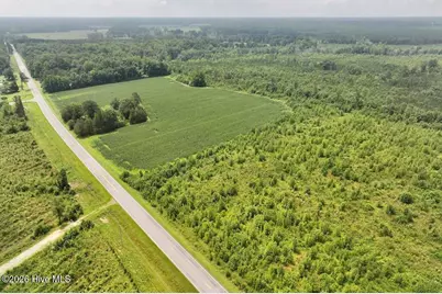 0 Hwy 561, Halifax, NC 27839 - Photo 15