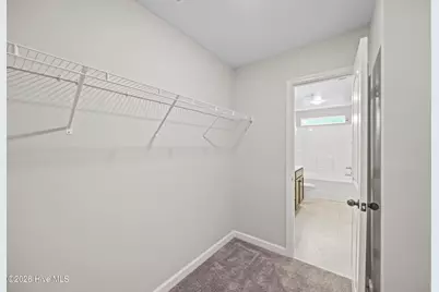 301 Justice Farm Drive, Sneads Ferry, NC 28460 - Photo 29