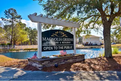 1119 Grandiflora Drive, Leland, NC 28451 - Photo 47