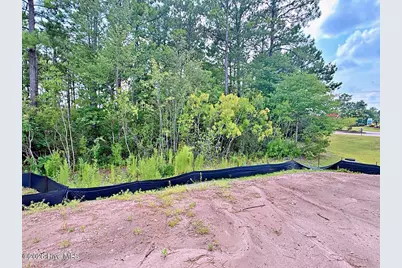 6500 Motts Village Road #(Lot 386), Wilmington, NC 28412 - Photo 61