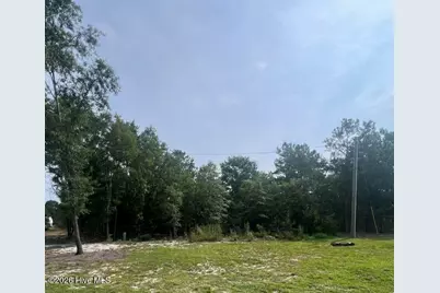 200 Mount Moriah Church Road, Hamlet, NC 28345 - Photo 19