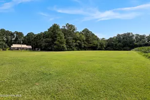 5044 Horse Branch Rd, Willard, NC 28478 - Photo 27