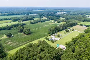 5044 Horse Branch Rd, Willard, NC 28478 - Photo 31