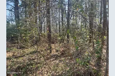 1894 Sunset Cove Drive SE, Bolivia, NC 28422 - Photo 5
