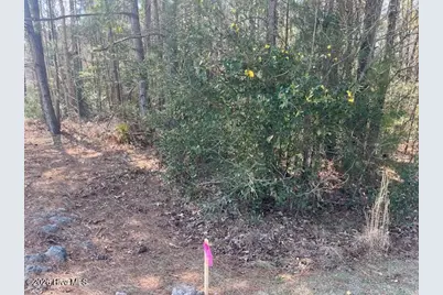 1894 Sunset Cove Drive SE, Bolivia, NC 28422 - Photo 3