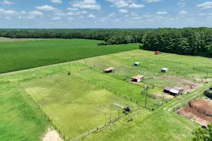 2195 S Nc 111 Hwy S, Chinquapin, NC 28521 - Photo 71