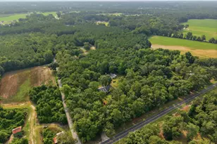4045 Ben Dail Rd, La Grange, NC 28551 - Photo 53