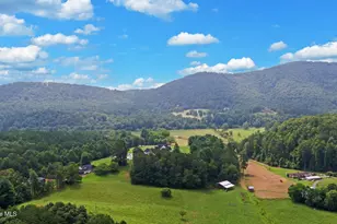 475 Rivercane Rd, Brasstown, NC 28902 - Photo 65