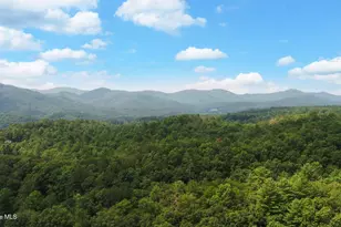 475 Rivercane Rd, Brasstown, NC 28902 - Photo 69