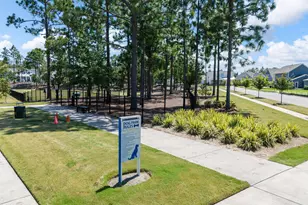 303 Botany Bay Pl, Wilmington, NC 28412 - Photo 127