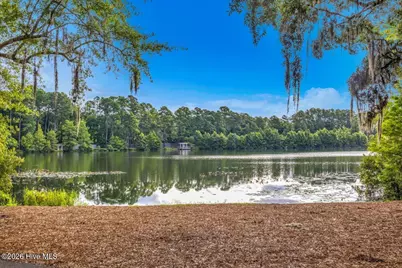 1147 Veranda Court, Leland, NC 28451 - Photo 47