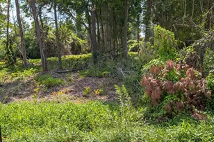 852 Bell Fork Rd, Jacksonville, NC 28540 - Photo 1