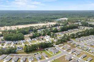 162 Wild Raven St NW, Shallotte, NC 28470 - Photo 47