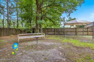434 Wolf Run Ln, Jacksonville, NC 28546 - Photo 43