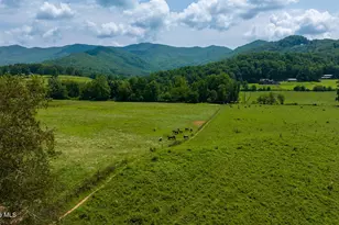 51 20 Ac Bethabara Rd, Hayesville, NC 28904 - Photo 1
