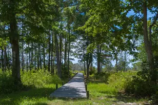 286 Marsh Haven Dr, Sneads Ferry, NC 28460 - Photo 25