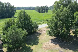 2426 Arrington Bridge Rd, Dudley, NC 28333 - Photo 3