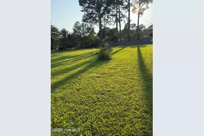 122 Turtle Shell Road, Richlands, NC 28574 - Photo 7