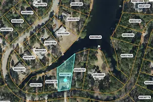 22 Pine Lake Dr, Whispering Pines, NC 28327 - Photo 51