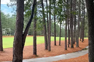 48 Royal County Down, Pinehurst, NC 28374 - Photo 55