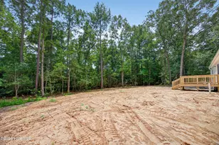 372 Mallard Roost Dr, Burgaw, NC 28425 - Photo 35