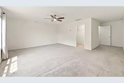 1004 Bally Bunion Lane, Burgaw, NC 28425 - Photo 37
