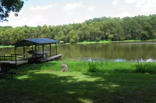 3916 Riviera Dr, Elm City, NC 27822 - Photo 37