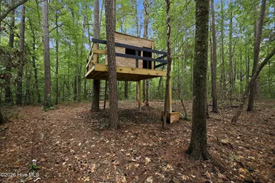 407 Rustic Court, Pollocksville, NC 28573 - Photo 59