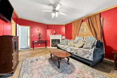 371 Maysville Lane, Tar Heel, NC 28392 - Photo 19