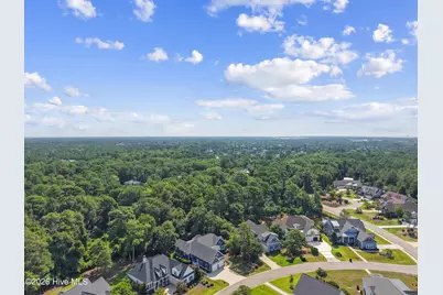3890 Big Magnolia Way, Southport, NC 28461 - Photo 63