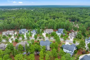 140 Broom Sedge Ln, Southern Pines, NC 28387 - Photo 57