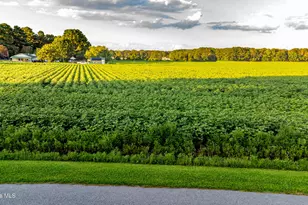 Tbd Whitehat Rd, Hertford, NC 27944 - Photo 1