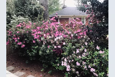 1104 N Overlook Drive, Greenville, NC 27858 - Photo 29