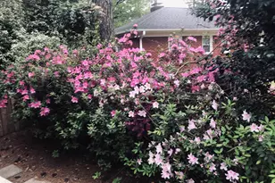 1104 N Overlook Dr, Greenville, NC 27858 - Photo 29