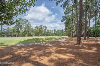 185 Baltusrol Lane, Pinehurst, NC 28374 - Photo 63