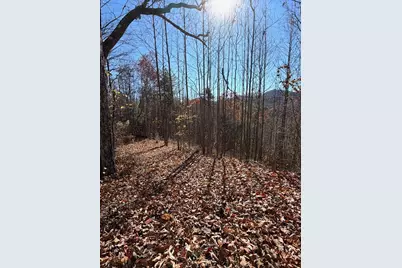 Lot 13 View Ridge Trail, Murphy, NC 28906 - Photo 5